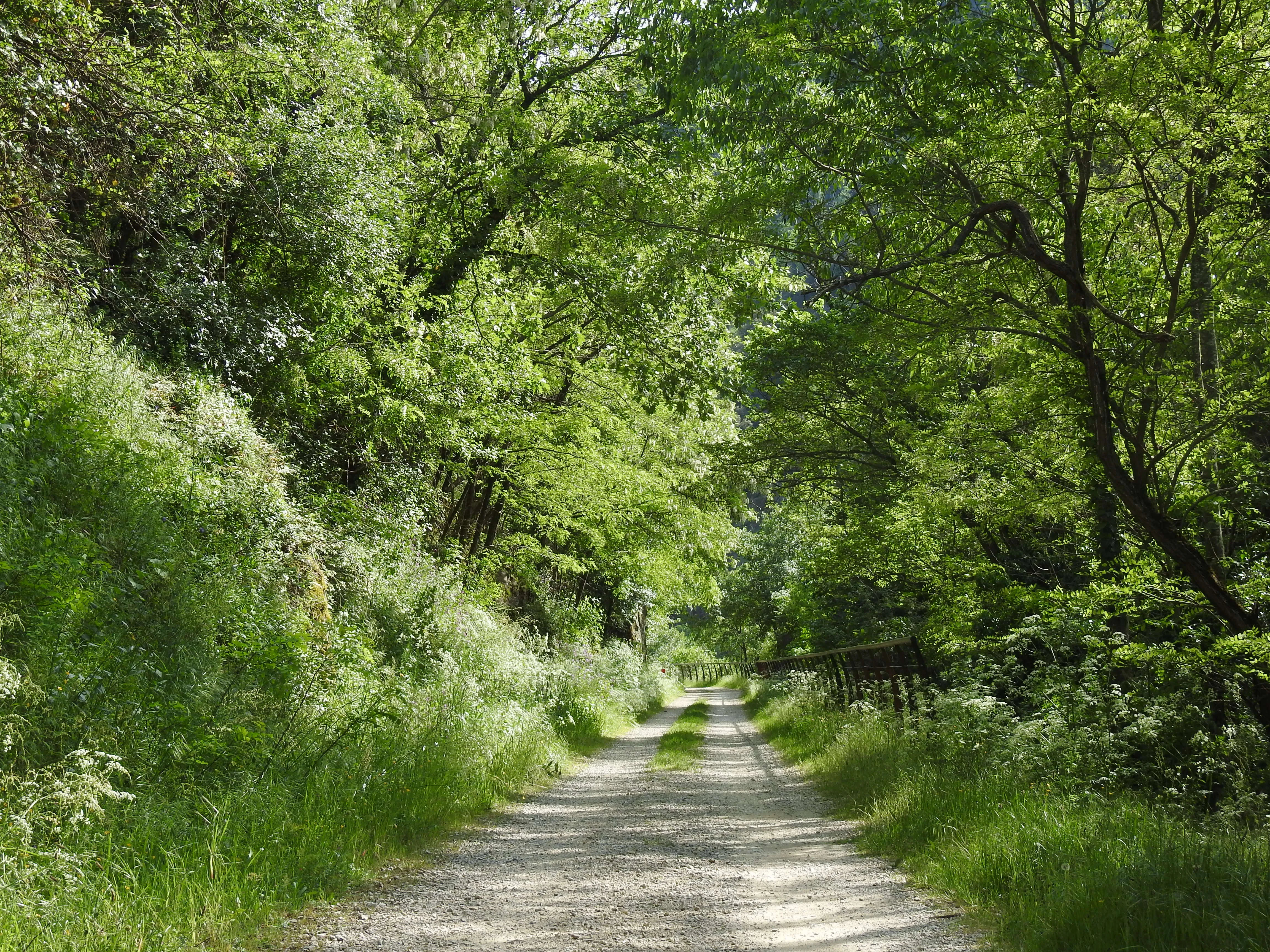 Dolce Via près du Domaine Les Cabanes