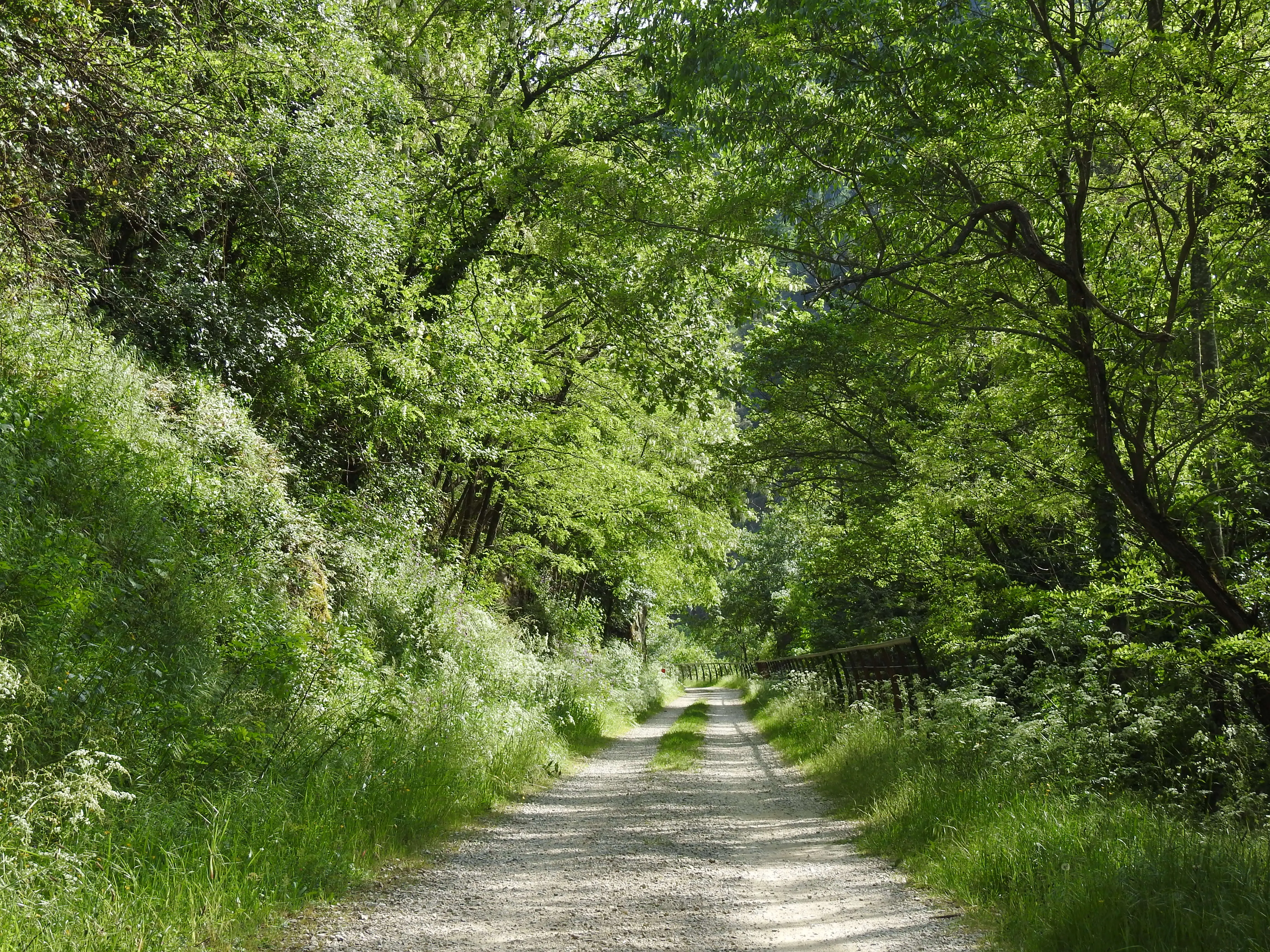 La Dolce Via, voie verte ombragée au pied du domaine