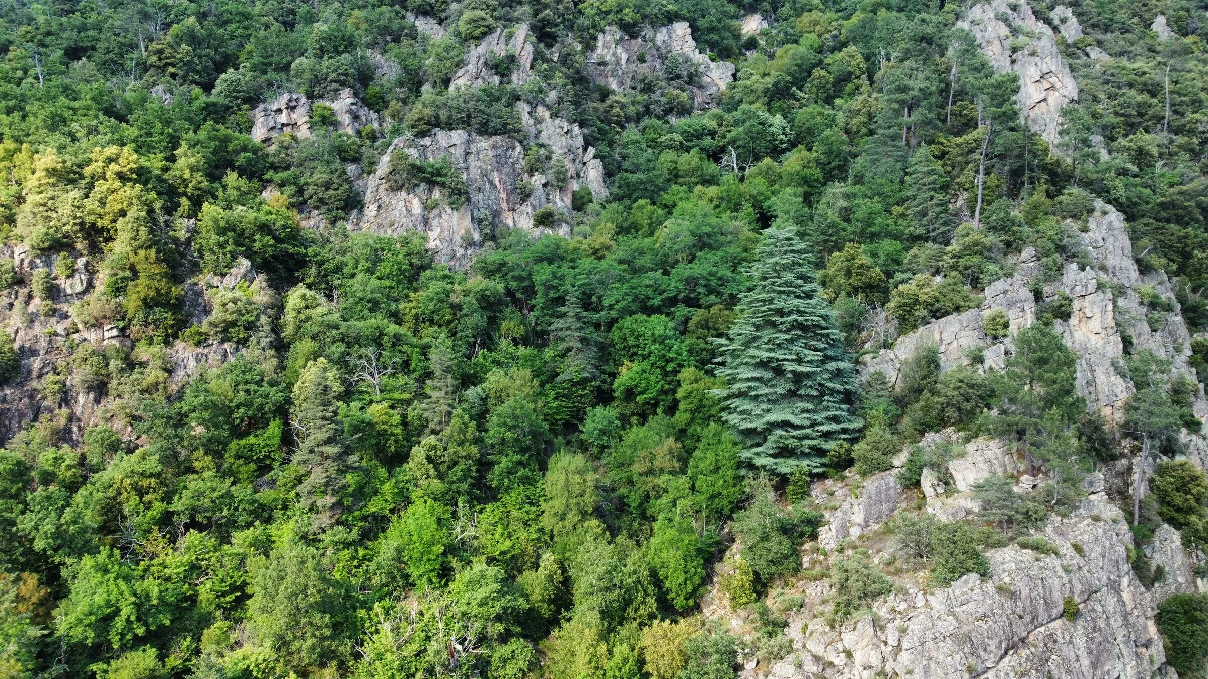 Forêt, falaises et sentier de randonnée au-dessus du domaine