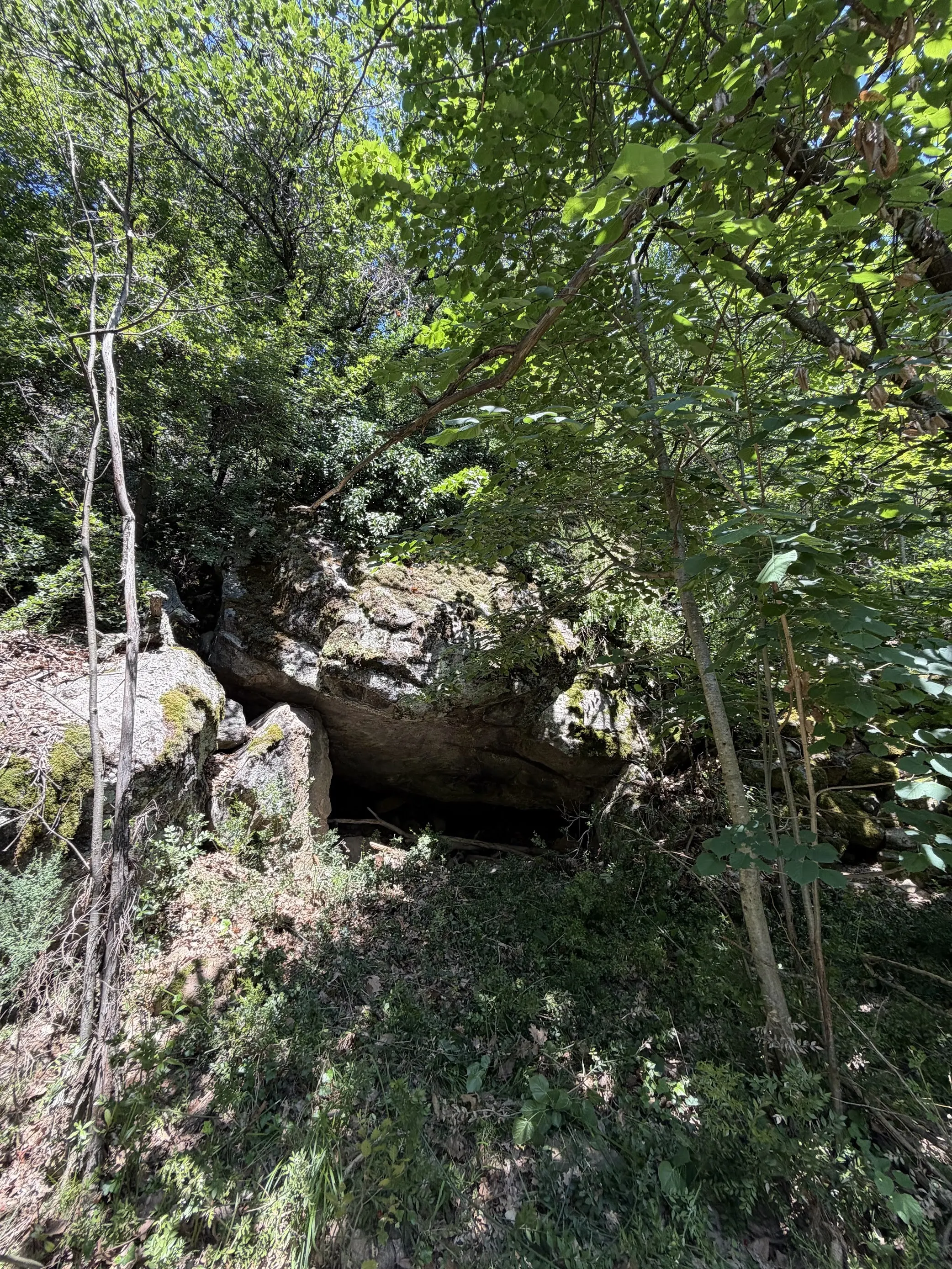 L'entrée de la grotte sous un grand rocher, au milieu de la végétation